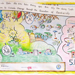 Final achievements GIZ Bac Lieu Vietnam